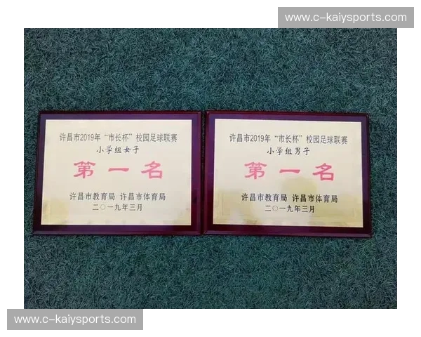 开云体育区域防守：以区域防守思维守护场馆安全与体验